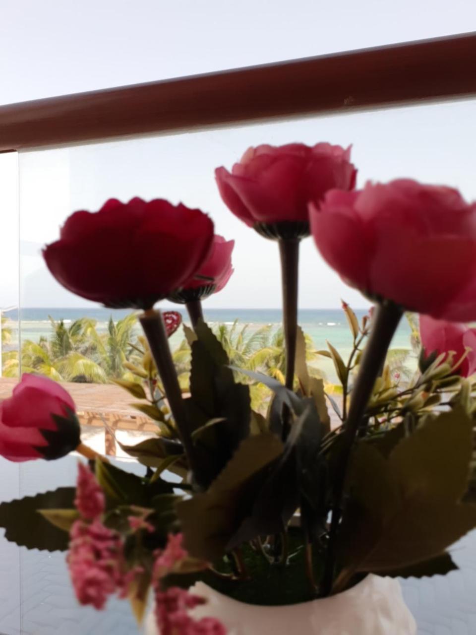 Aquastar By Rt Vacation Rentals Mahahual Buitenkant foto